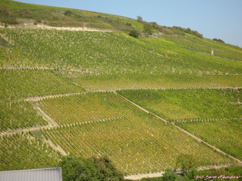 view of le mont damne in Sancerre